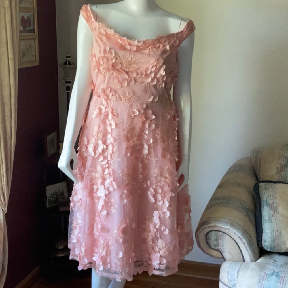 Boohoo Pink Floral Applique Off-Shoulder Dress